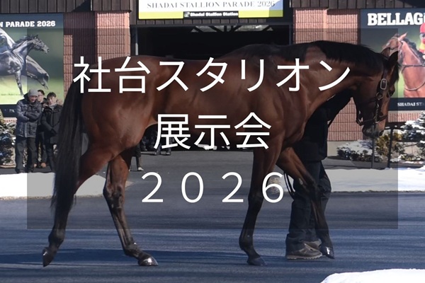 サラブレッドマーケット