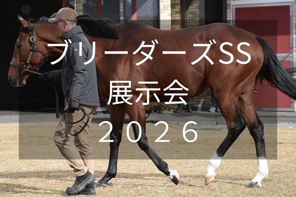 サラブレッドマーケット