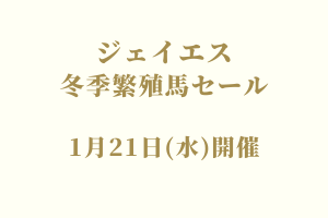 サラブレッドマーケット