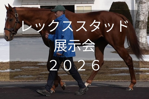 サラブレッドマーケット