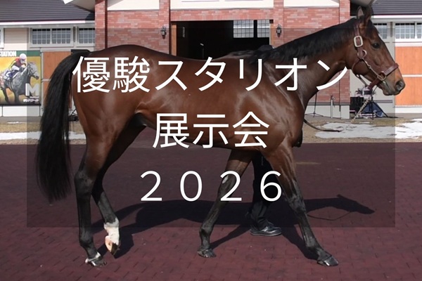 サラブレッドマーケット